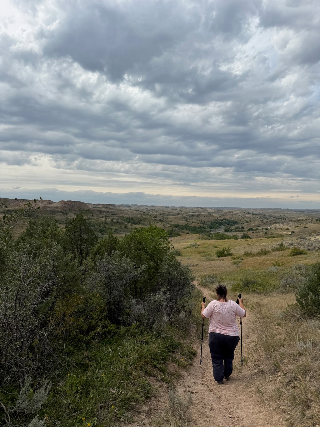 Colleen walking down the Petrified Forest trail with trekking poles under a heavy overcast sky, badlands stretching to the horizon