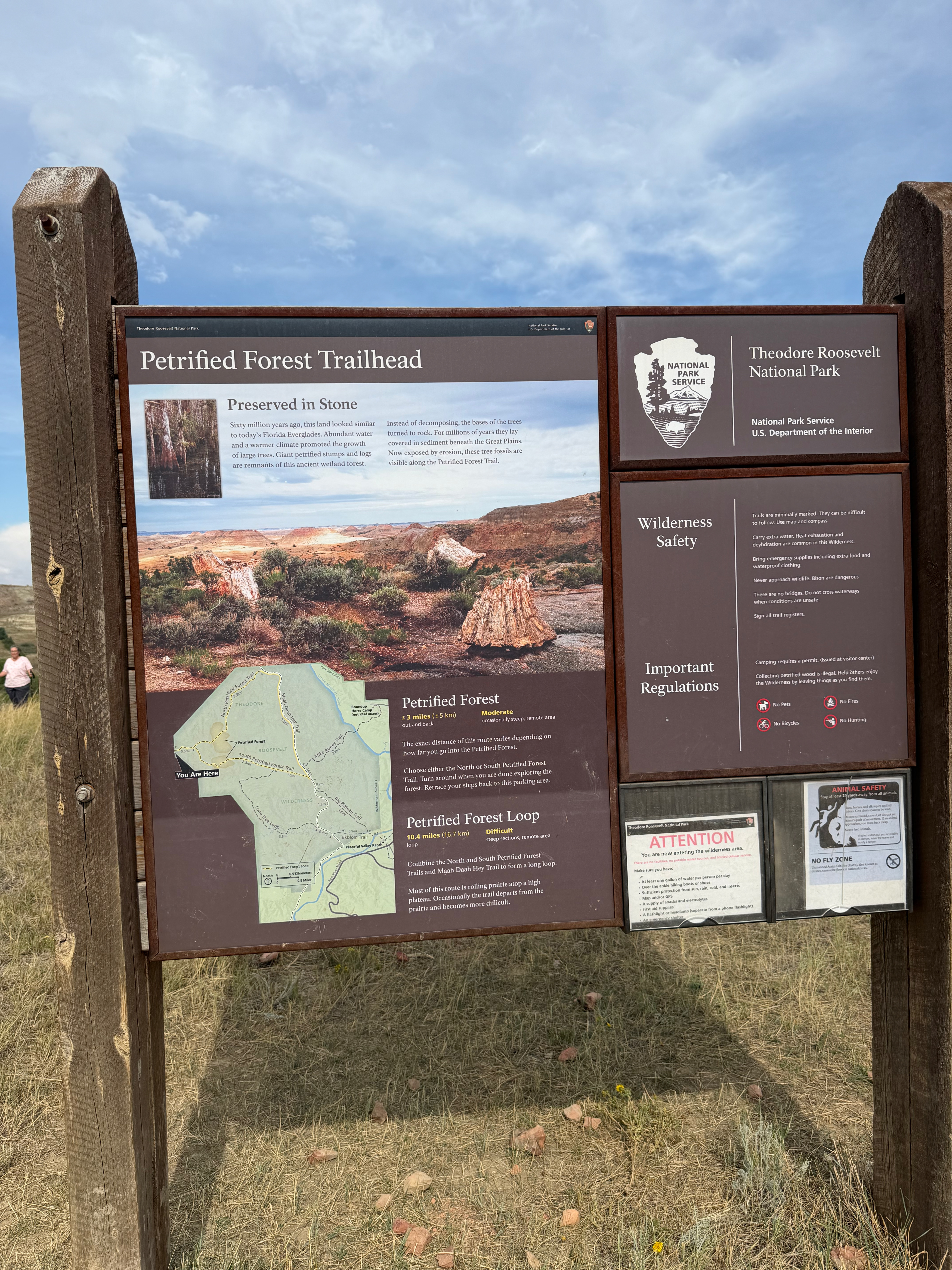 The Petrified Forest Trailhead sign in Theodore Roosevelt National Park, showing a trail map and wilderness safety notices, with a hiker just visible beside it